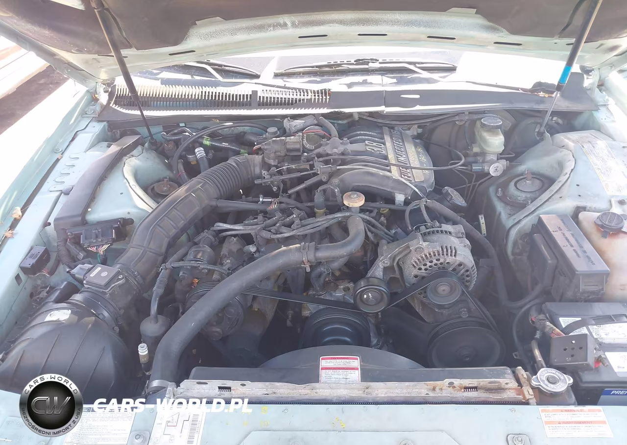 1994 Ford Thunderbird Lx VIN:1FALP6246RH146449 - 10