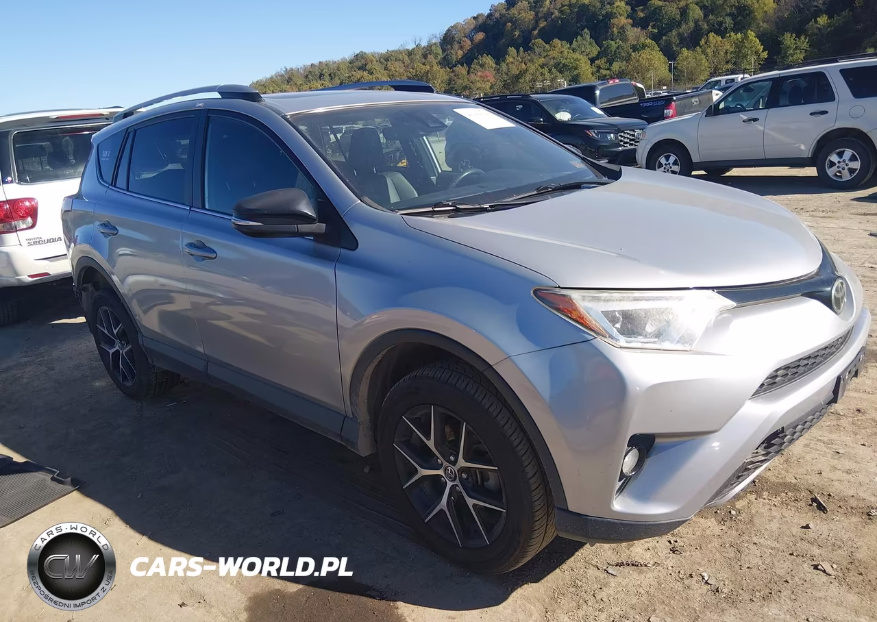 2017 Toyota Rav4 Se