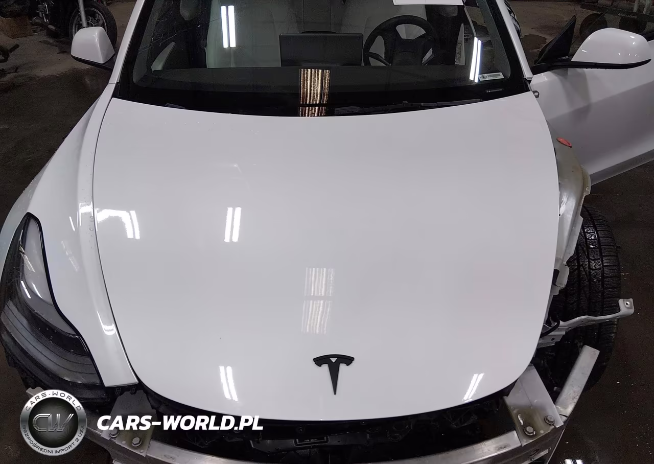 2022 Tesla Model 3 Long Range Dual Motor All-Wheel Drive VIN:5YJ3E1EB9NF277009 - 10