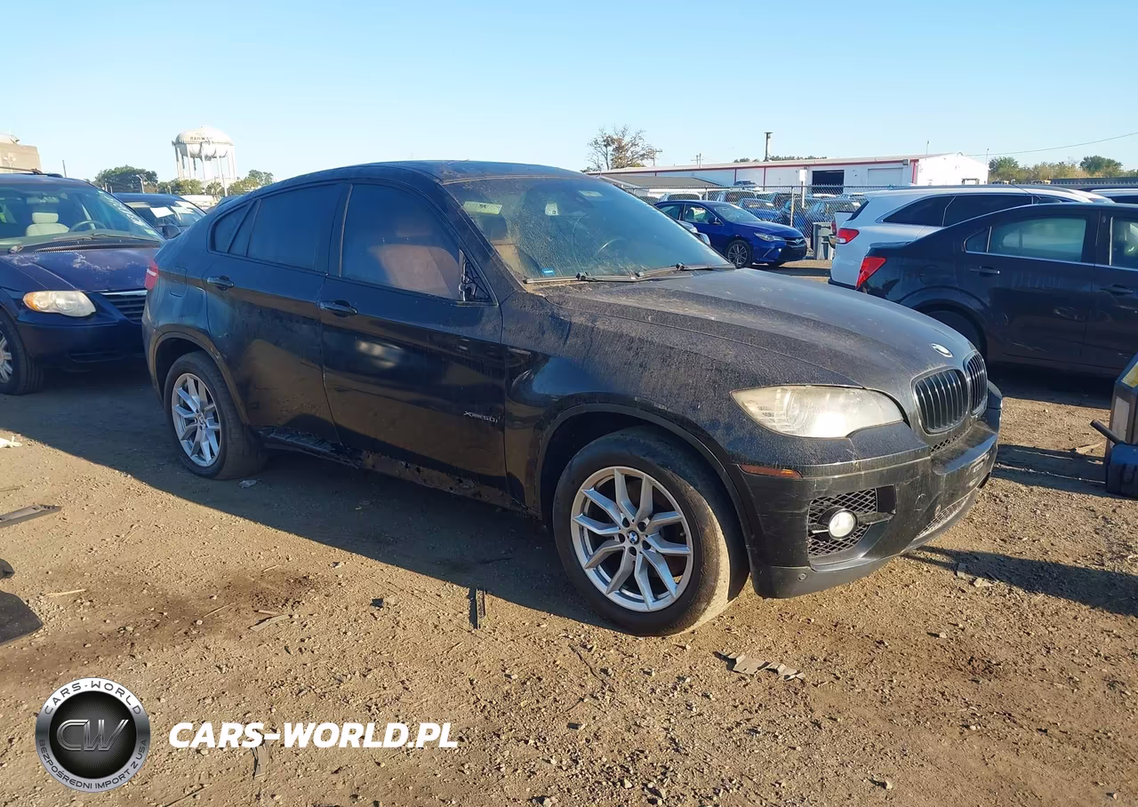 2011 BMW X6 VIN:5UXFG8C51BLZ96520 - 1