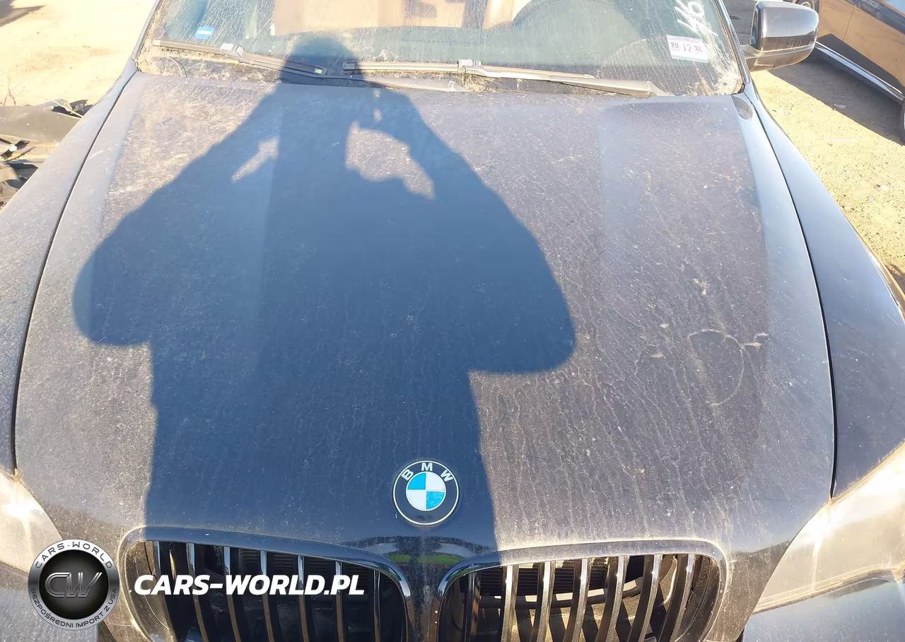 2011 BMW X6 VIN:5UXFG8C51BLZ96520 - 10