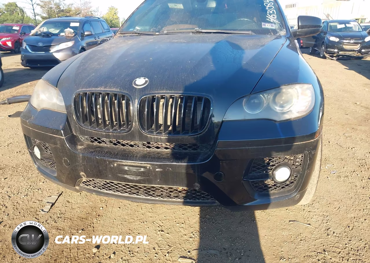 2011 BMW X6 VIN:5UXFG8C51BLZ96520 - 13