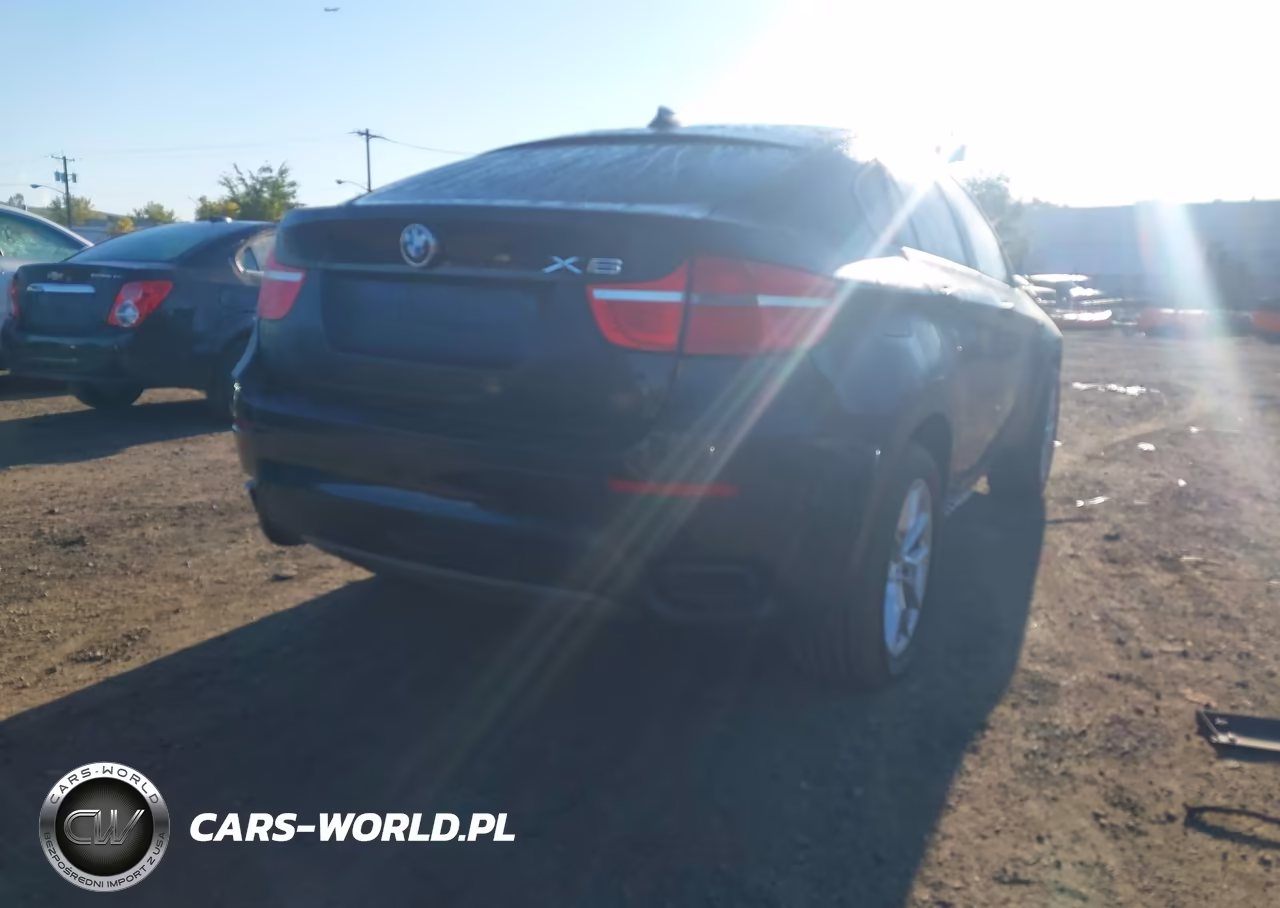 2011 BMW X6 VIN:5UXFG8C51BLZ96520 - 17