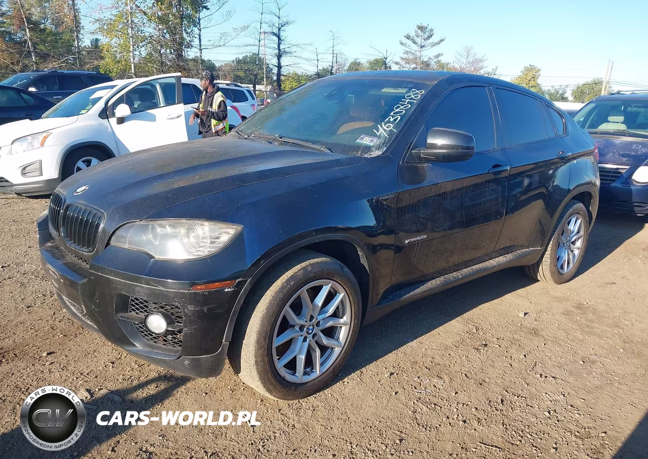 2011 BMW X6 VIN:5UXFG8C51BLZ96520 - 2