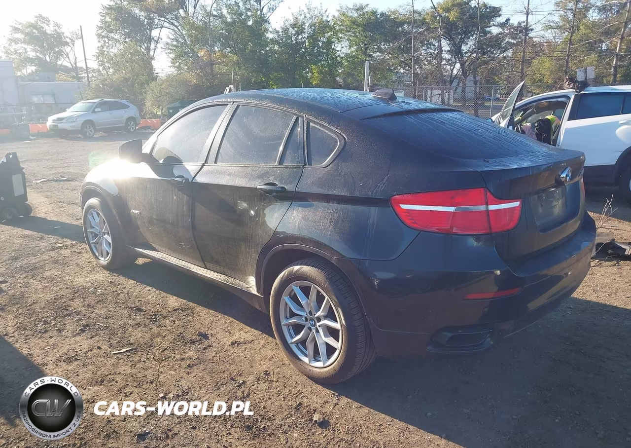 2011 BMW X6 VIN:5UXFG8C51BLZ96520 - 3