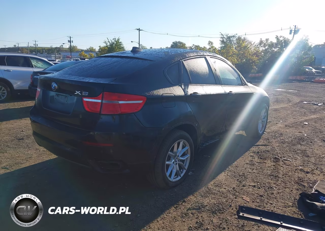 2011 BMW X6 VIN:5UXFG8C51BLZ96520 - 4