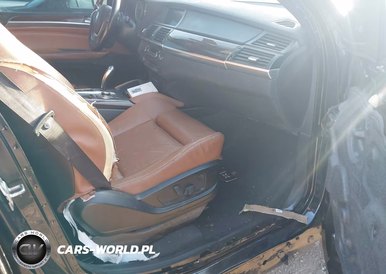 2011 BMW X6 VIN:5UXFG8C51BLZ96520 - 5