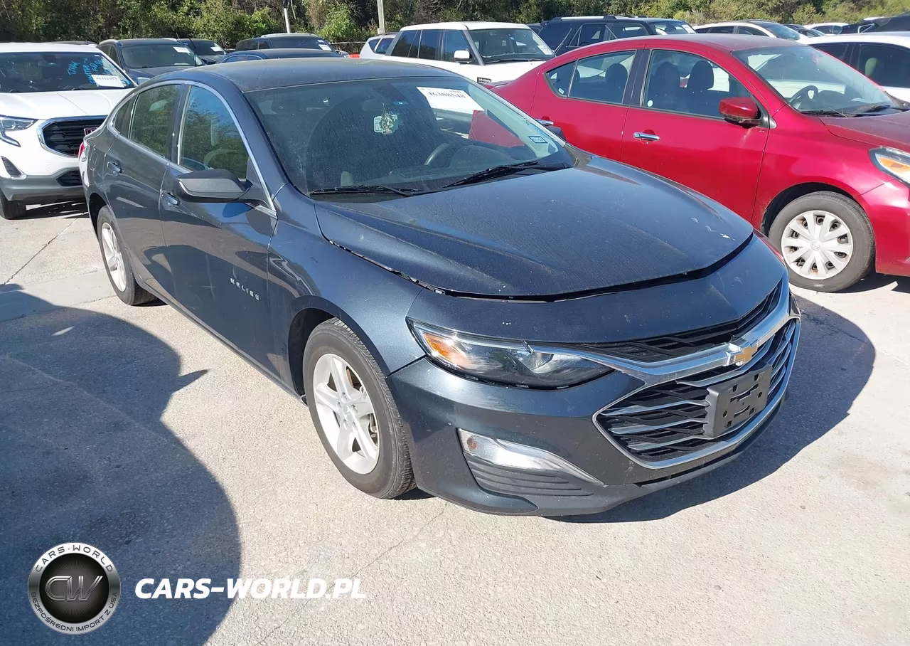 2019 Chevrolet Malibu 1Ls VIN:1G1ZB5ST9KF173224 - 1