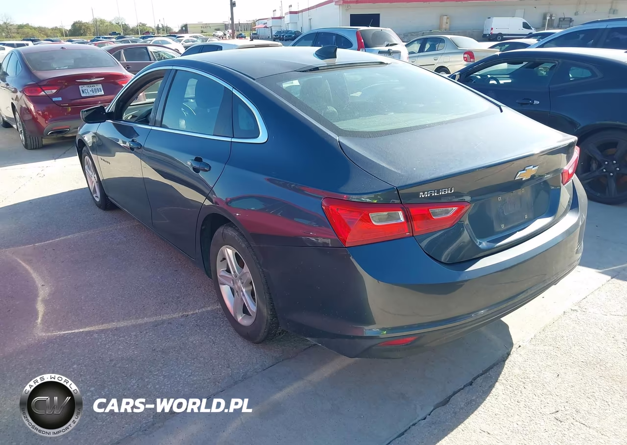2019 Chevrolet Malibu 1Ls VIN:1G1ZB5ST9KF173224 - 3