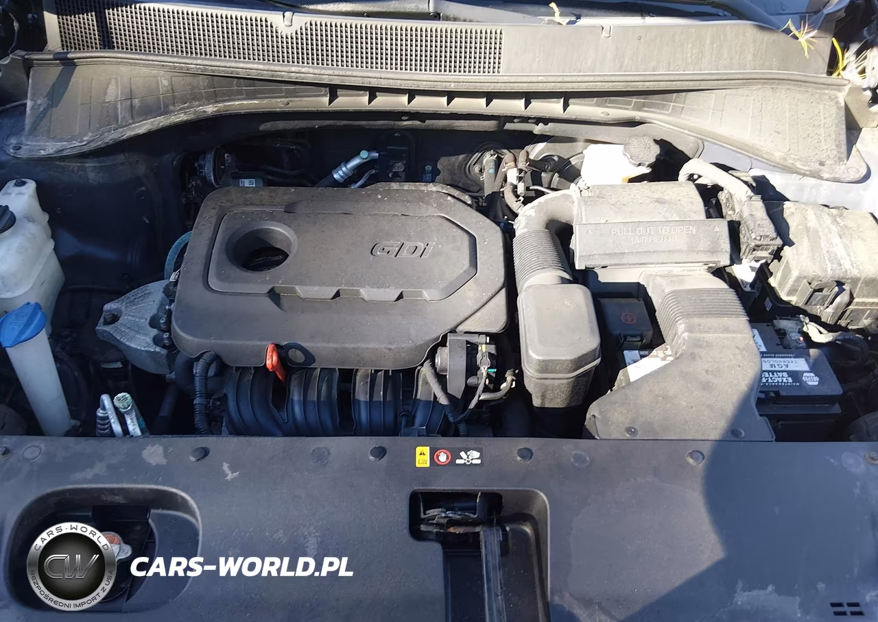 2016 Kia Sorento 2.4L Lx VIN:5XYPGDA39GG165592 - 10