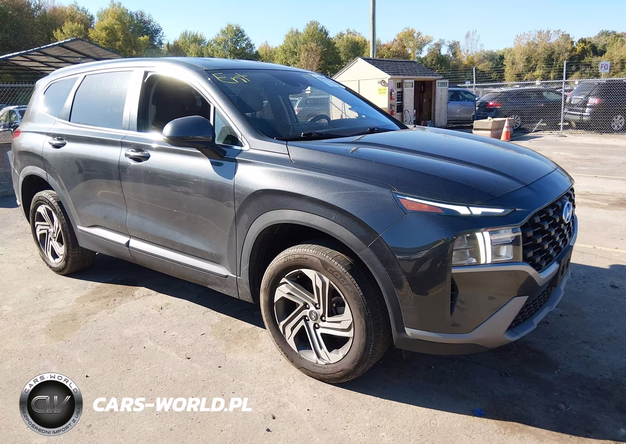2023 Hyundai Santa Fe Se VIN:5NMS1DAJXPH517059 - 1