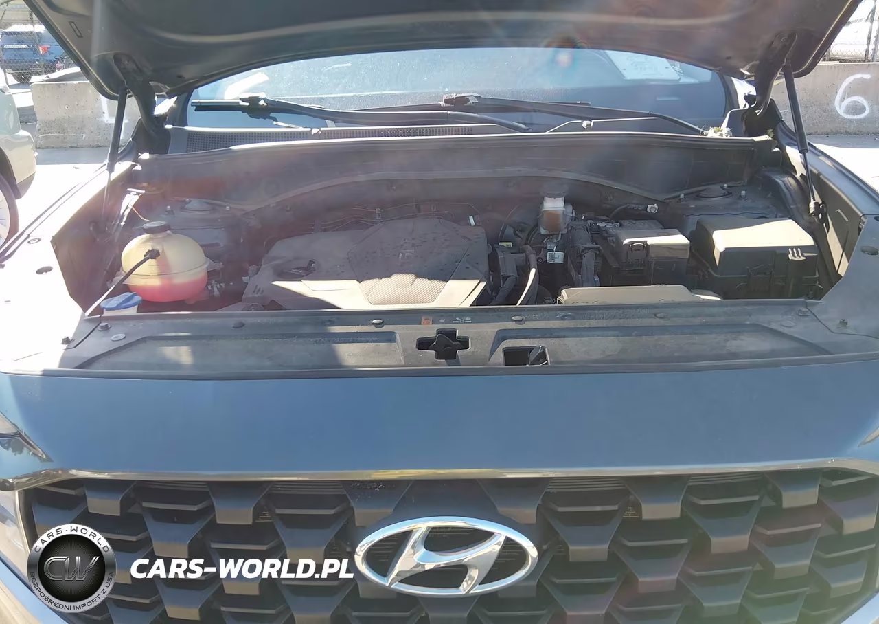 2023 Hyundai Santa Fe Se VIN:5NMS1DAJXPH517059 - 10