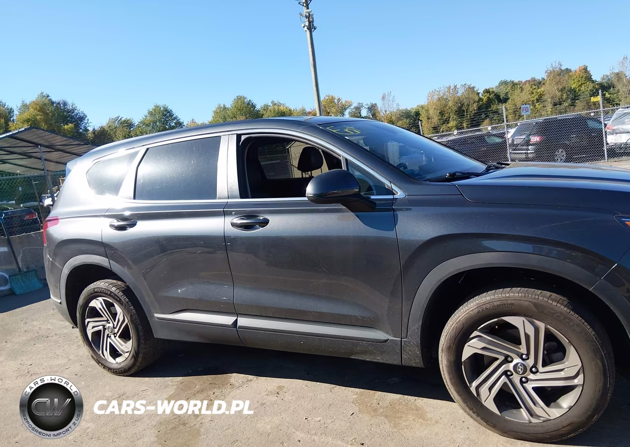 2023 Hyundai Santa Fe Se VIN:5NMS1DAJXPH517059 - 13