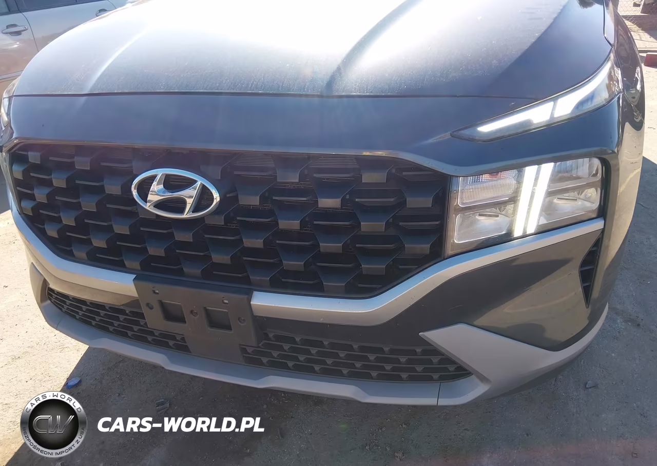 2023 Hyundai Santa Fe Se VIN:5NMS1DAJXPH517059 - 6