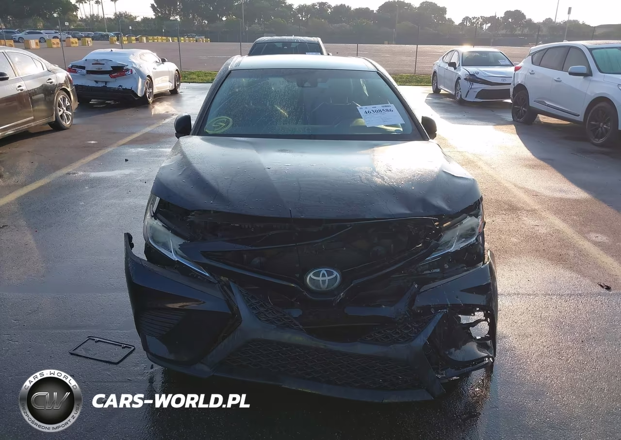 2018 Toyota Camry Se VIN:4T1B11HK2JU604267 - 12