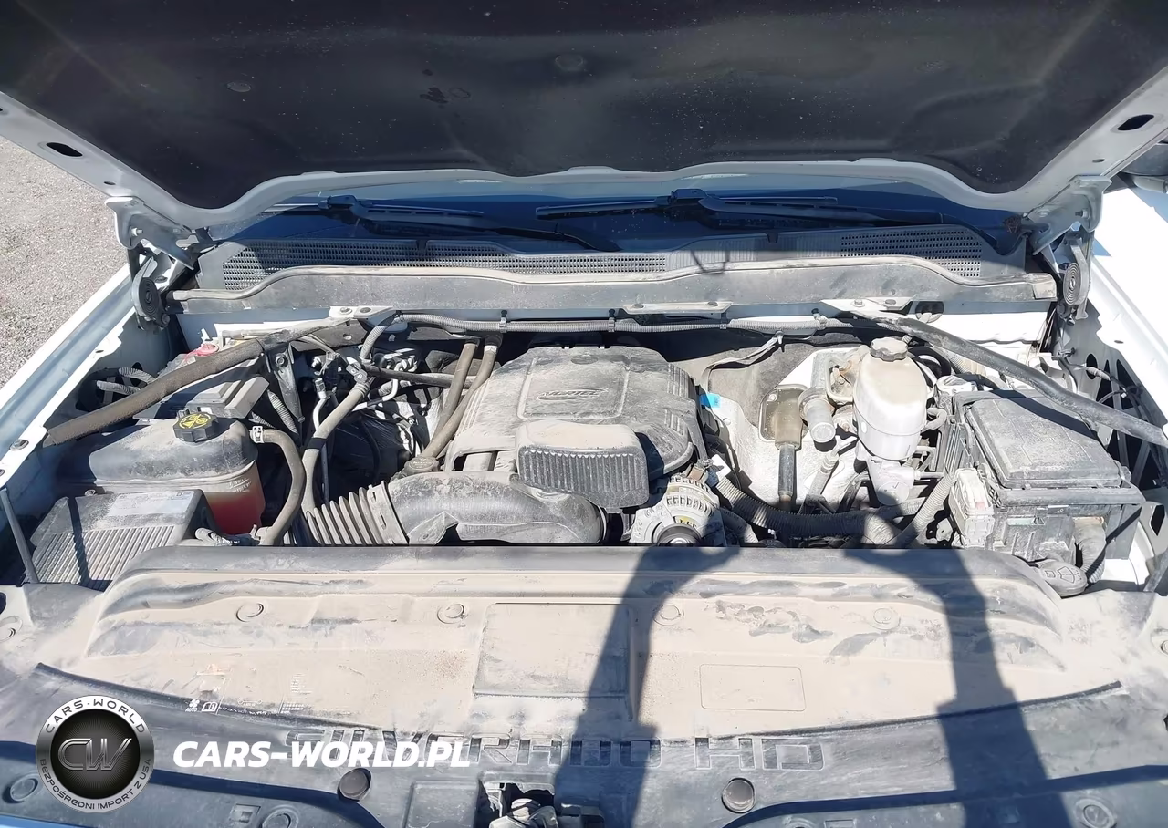2019 Chevrolet Silverado 2500Hd Wt VIN:2GC2KREG7K1190688 - 10