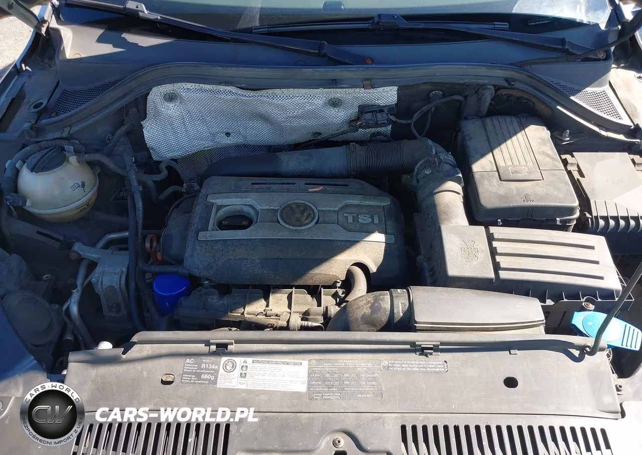 2010 Volkswagen Tiguan Sel VIN:WVGBV7AX8AW525039 - 10