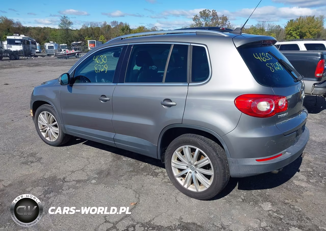 2010 Volkswagen Tiguan Sel VIN:WVGBV7AX8AW525039 - 3