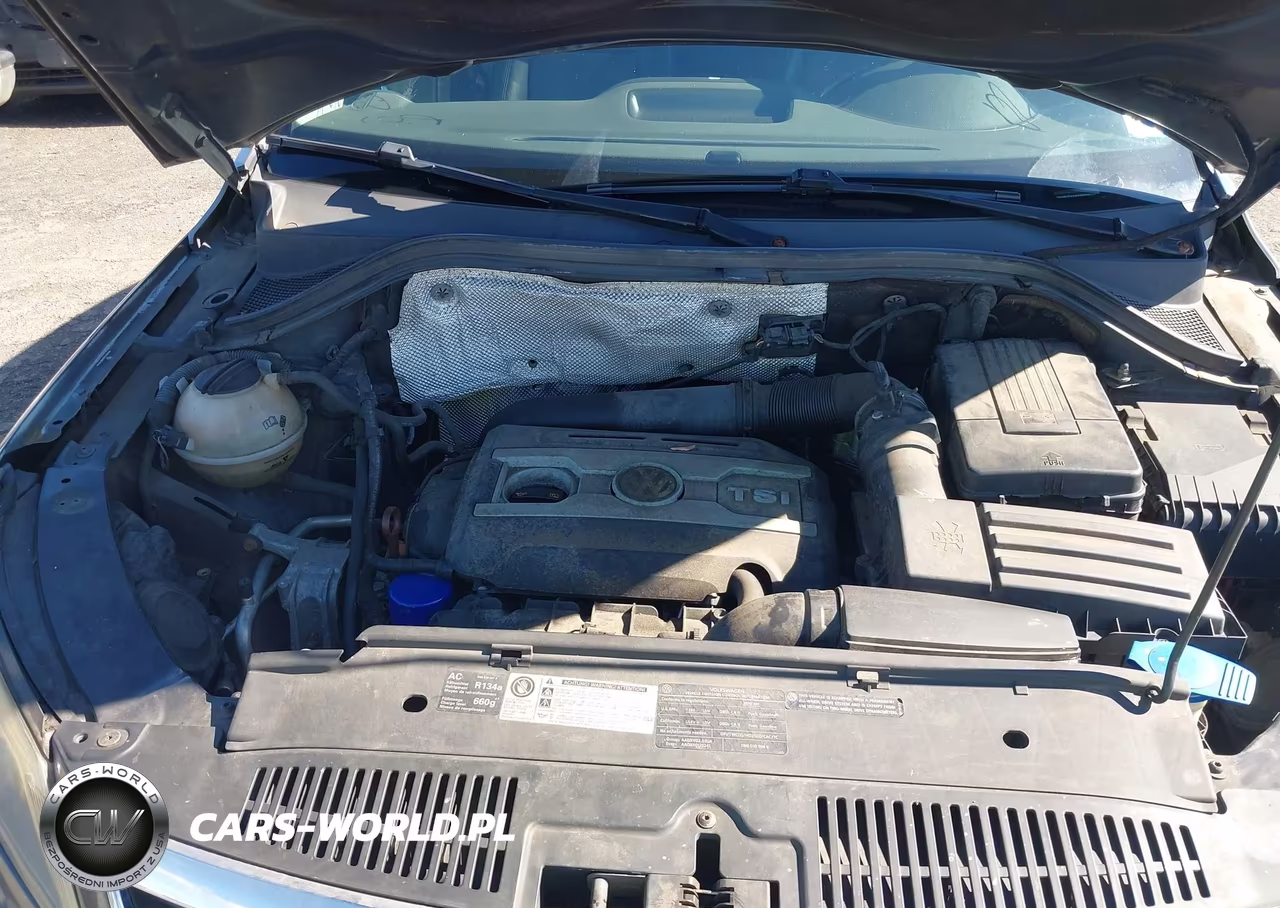 2010 Volkswagen Tiguan Sel VIN:WVGBV7AX8AW525039 - 6