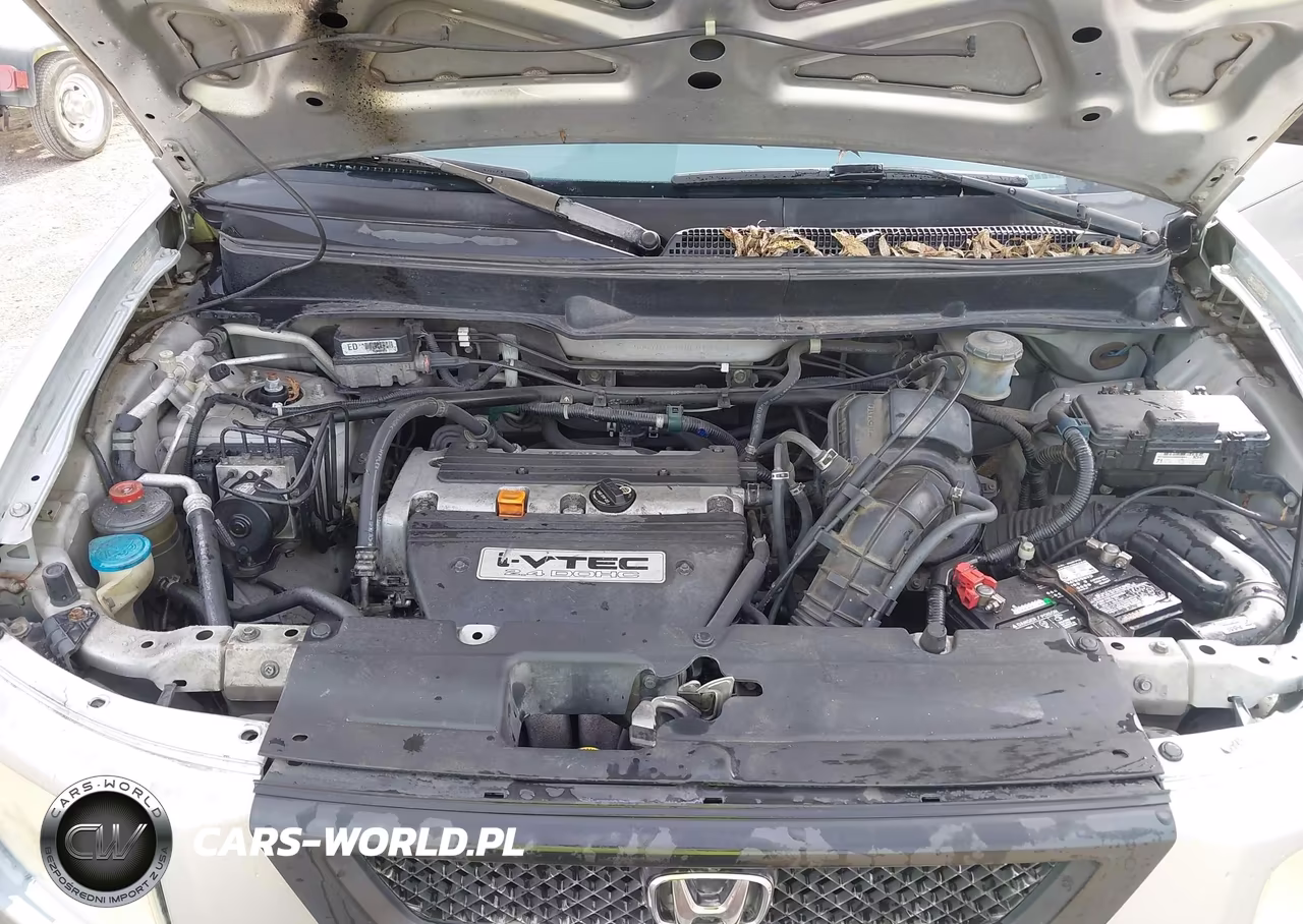2006 Honda Element Ex-P VIN:5J6YH18736L010980 - 10