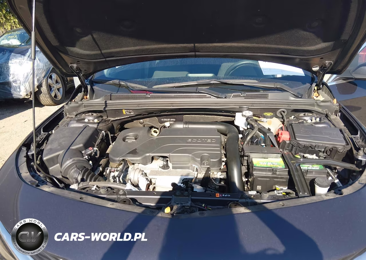 2023 Chevrolet Malibu Fwd 1Lt VIN:1G1ZD5ST5PF188482 - 10