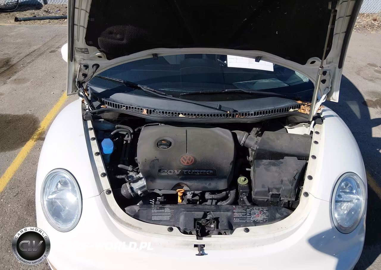 2004 Volkswagen New Beetle Gls 1.8T VIN:3VWCD21C34M402021 - 10