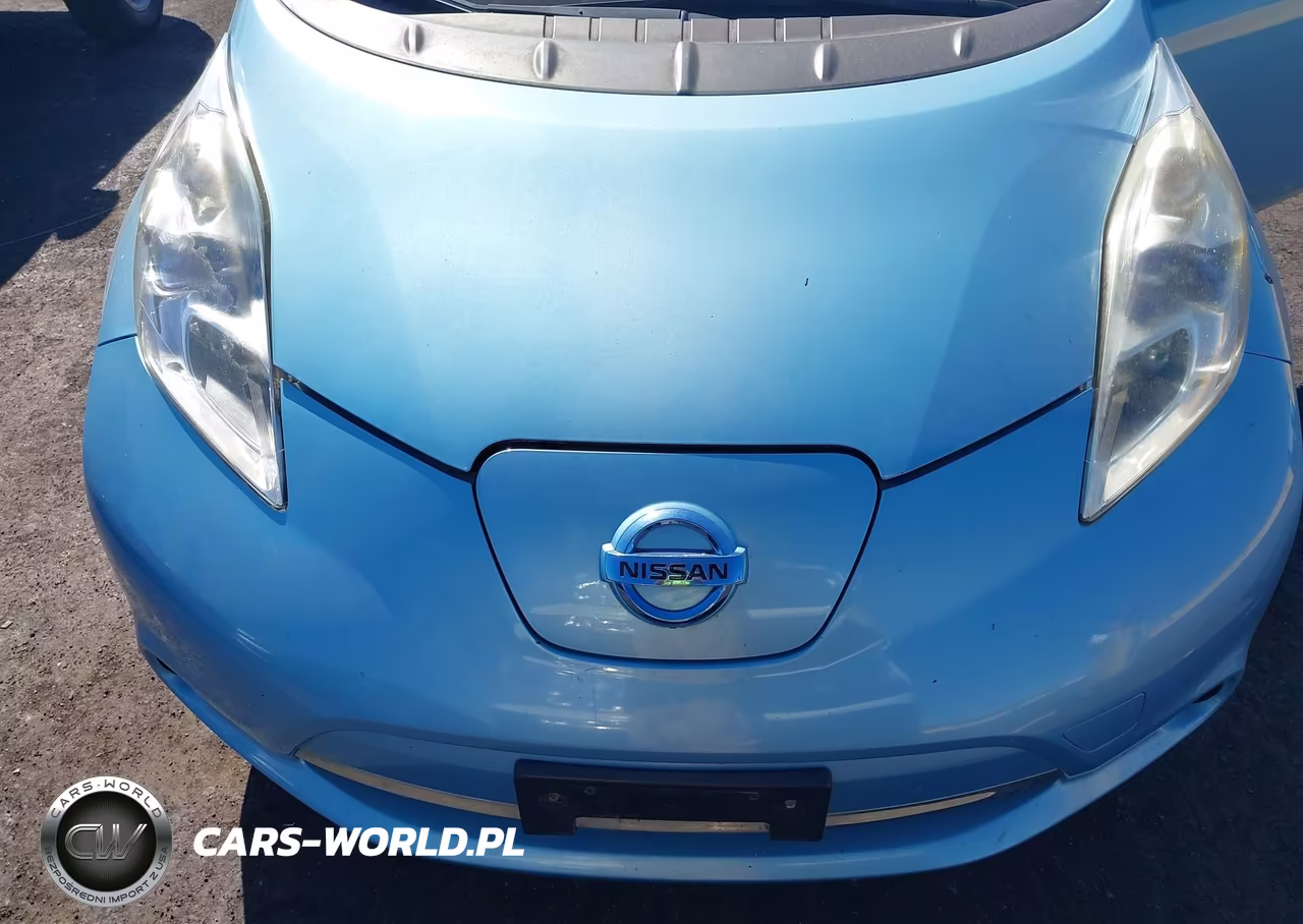 2015 Nissan Leaf Sl VIN:1N4AZ0CP3FC317450 - 10