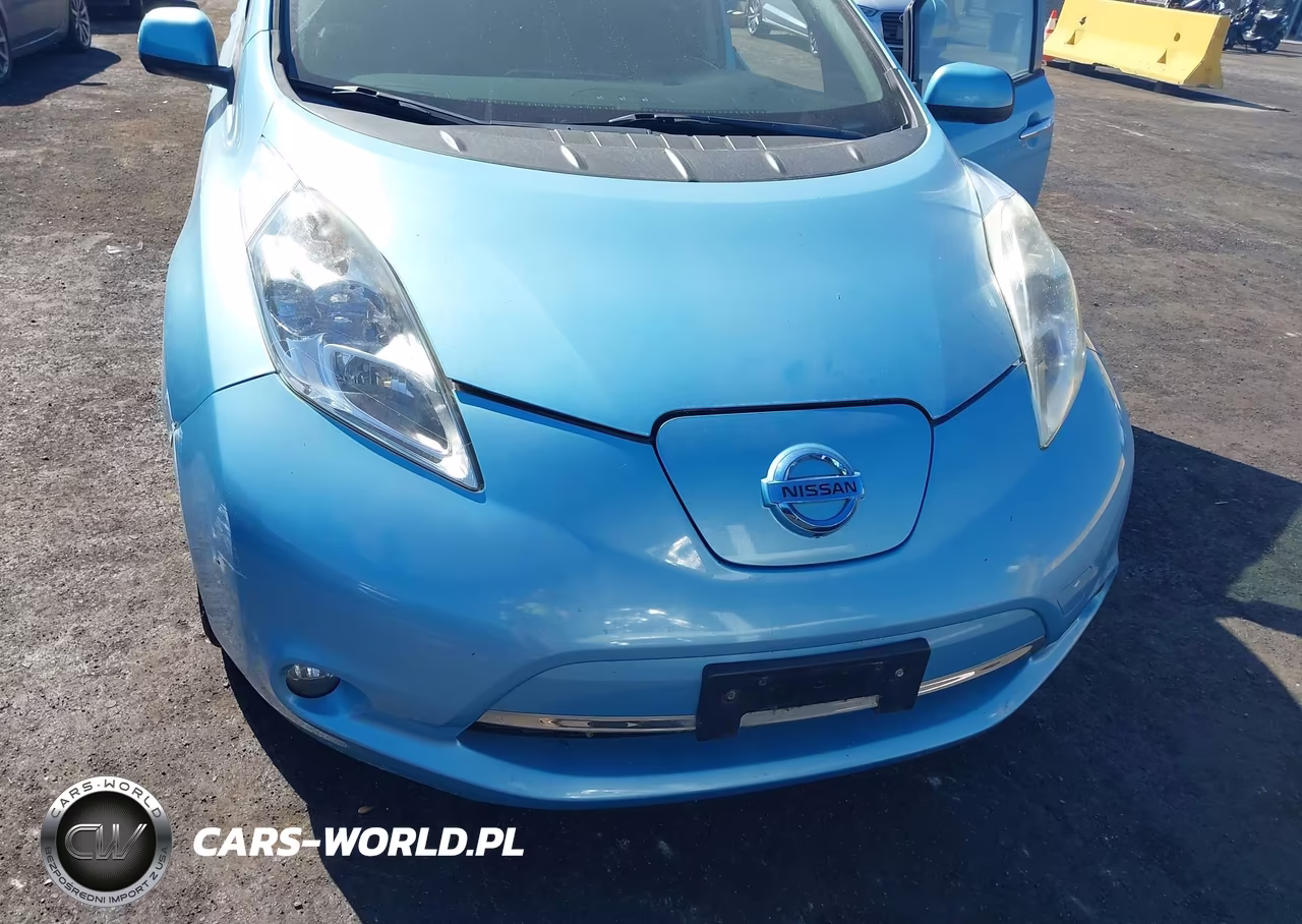 2015 Nissan Leaf Sl VIN:1N4AZ0CP3FC317450 - 6