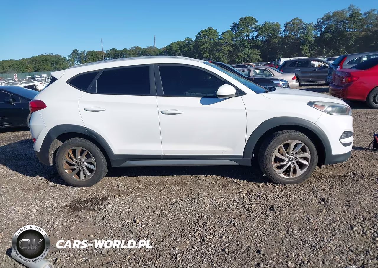 2017 Hyundai Tucson Se VIN:KM8J3CA43HU351399 - 13