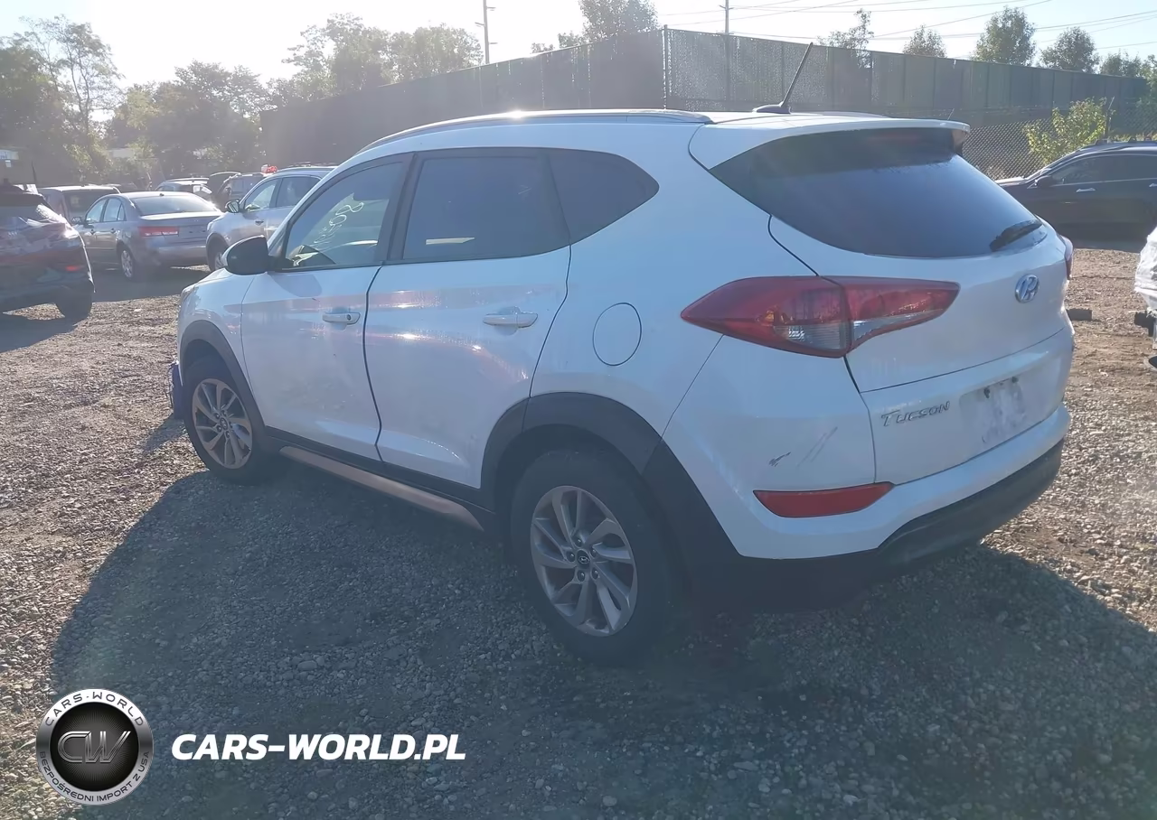2017 Hyundai Tucson Se VIN:KM8J3CA43HU351399 - 3