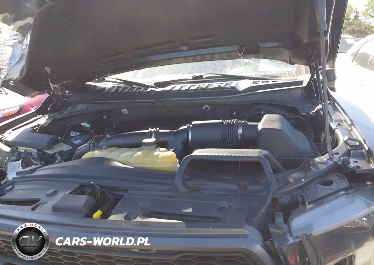 2017 Ford F-150 Raptor VIN:1FTFW1RG8HFB72803 - 10