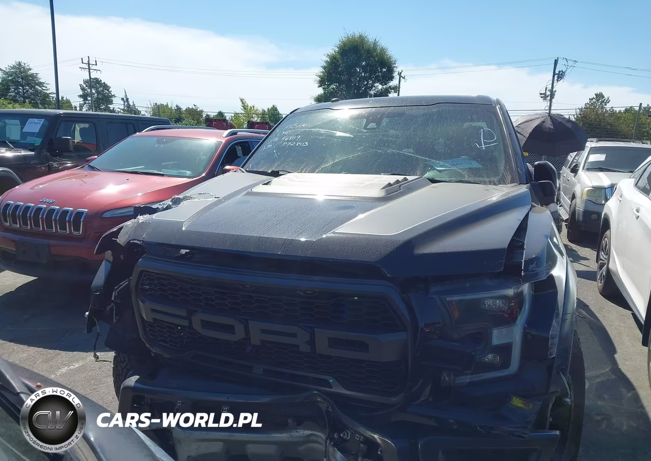 2017 Ford F-150 Raptor VIN:1FTFW1RG8HFB72803 - 12
