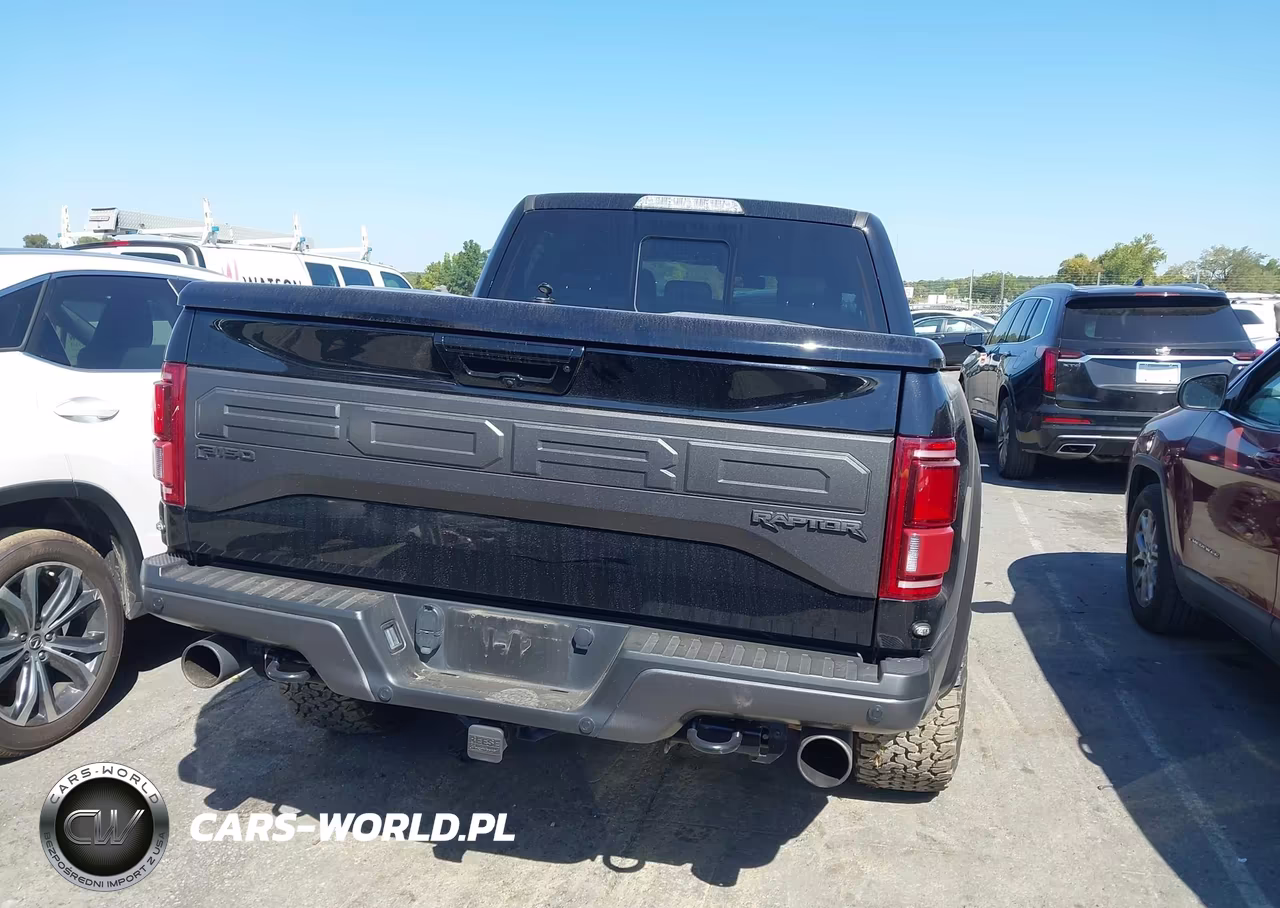 2017 Ford F-150 Raptor VIN:1FTFW1RG8HFB72803 - 16