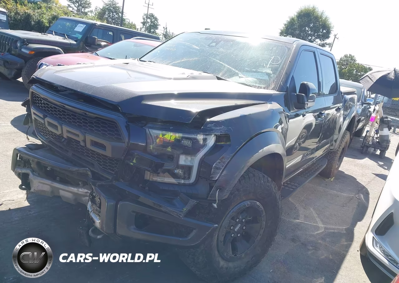 2017 Ford F-150 Raptor VIN:1FTFW1RG8HFB72803 - 2