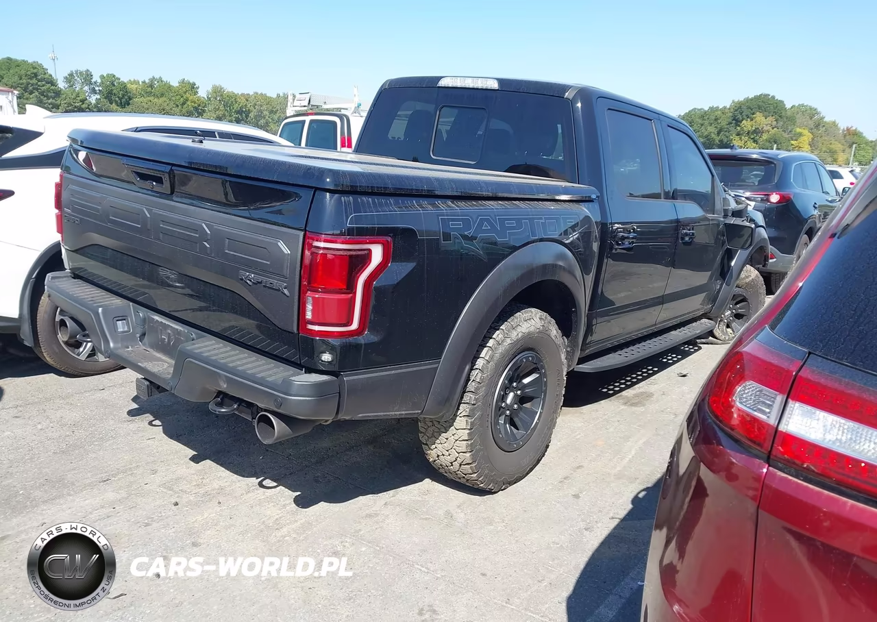 2017 Ford F-150 Raptor VIN:1FTFW1RG8HFB72803 - 4