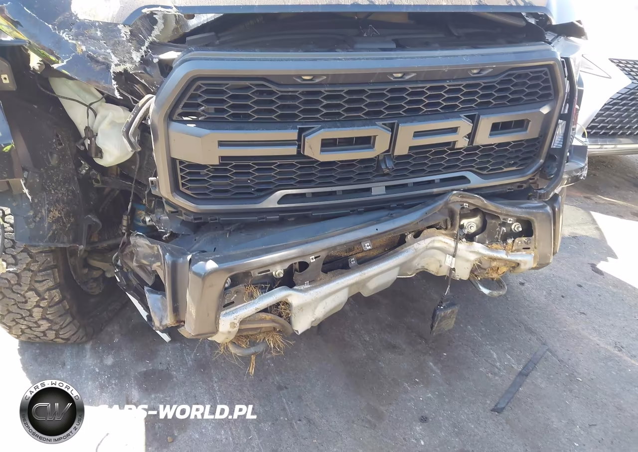 2017 Ford F-150 Raptor VIN:1FTFW1RG8HFB72803 - 6
