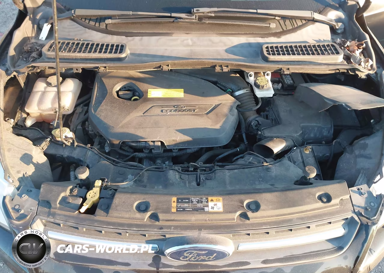2016 Ford Escape Se VIN:1FMCU0GX3GUB62160 - 10