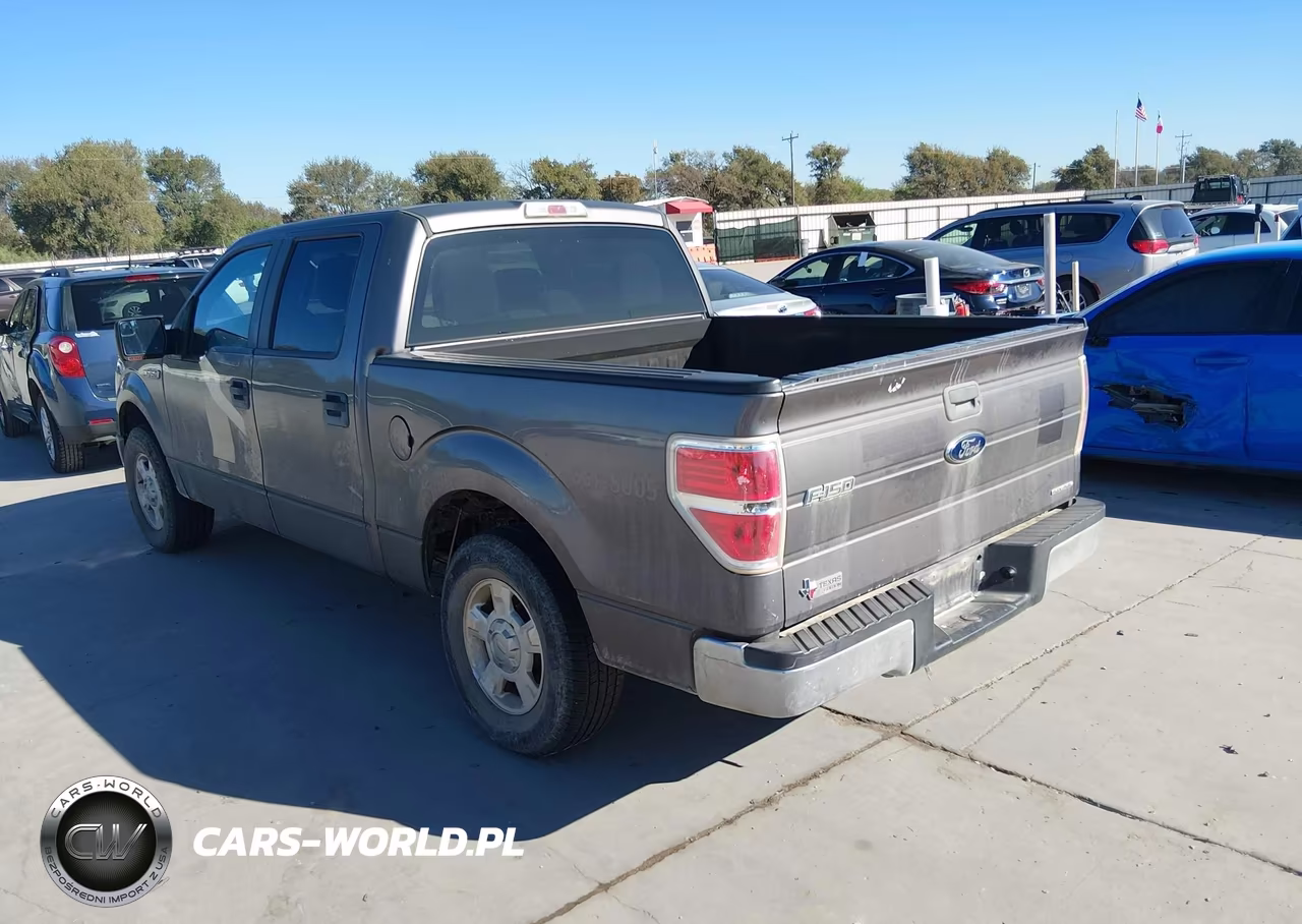 2013 Ford F-150 Xlt VIN:1FTFW1CF1DKF36030 - 3
