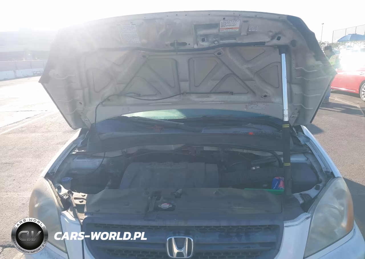 2005 Honda Pilot Ex-L VIN:5FNYF18565B052930 - 10