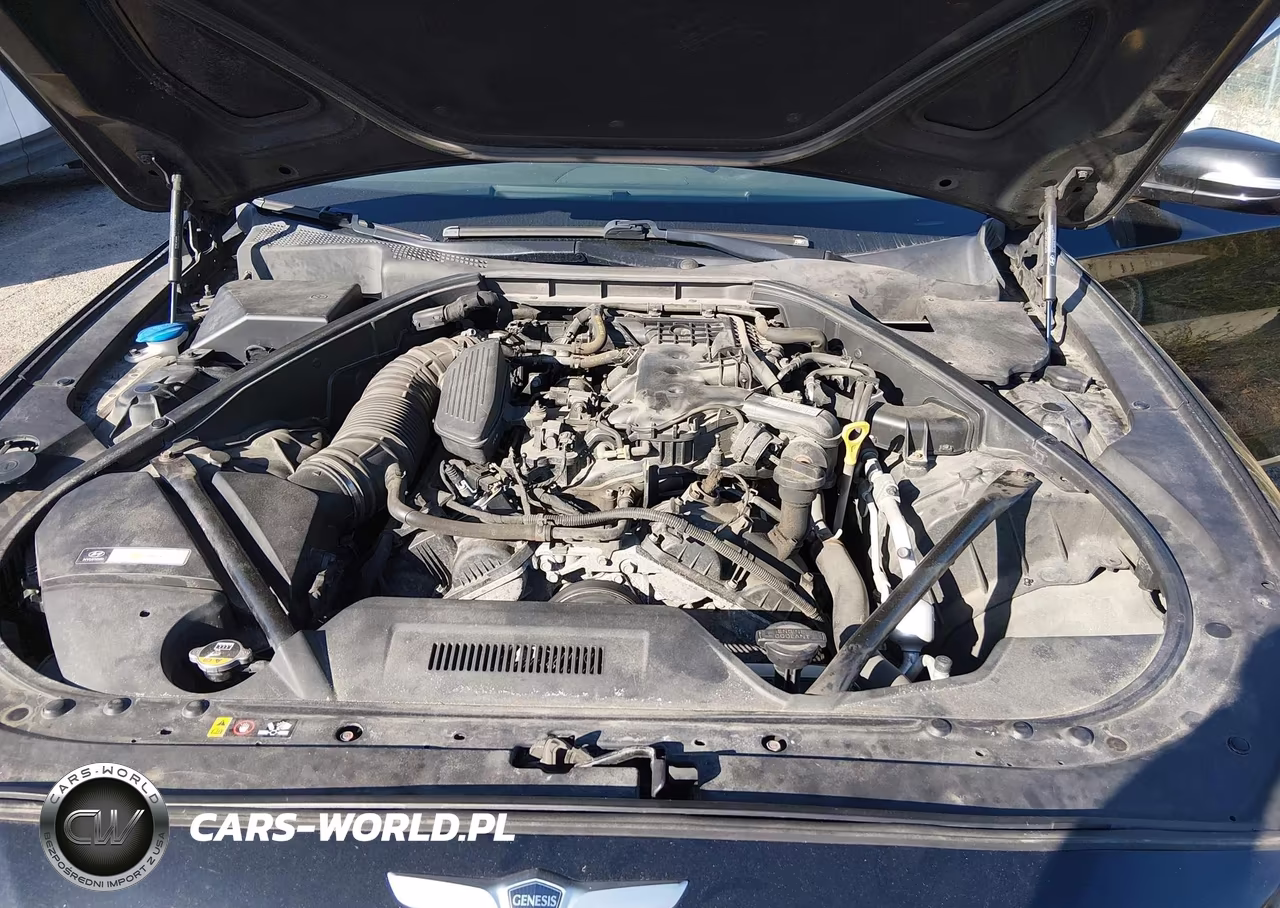 2015 Hyundai Genesis 3.8 VIN:KMHGN4JE3FU045884 - 10