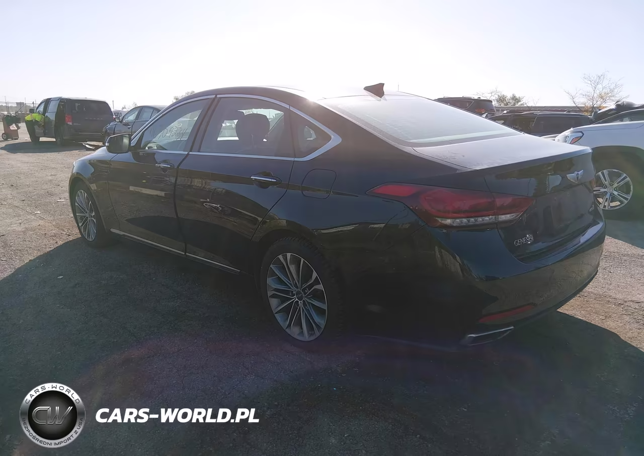 2015 Hyundai Genesis 3.8 VIN:KMHGN4JE3FU045884 - 3