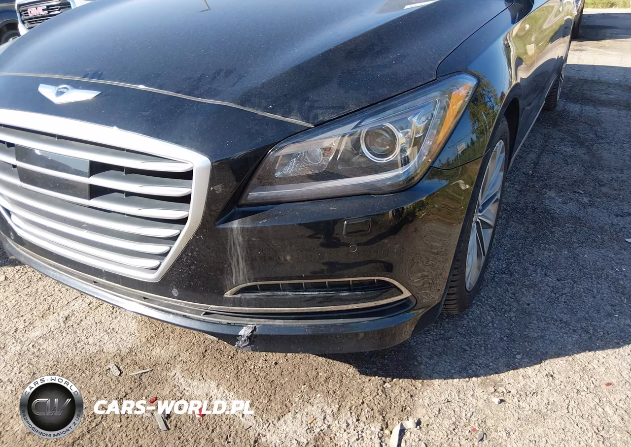 2015 Hyundai Genesis 3.8 VIN:KMHGN4JE3FU045884 - 6