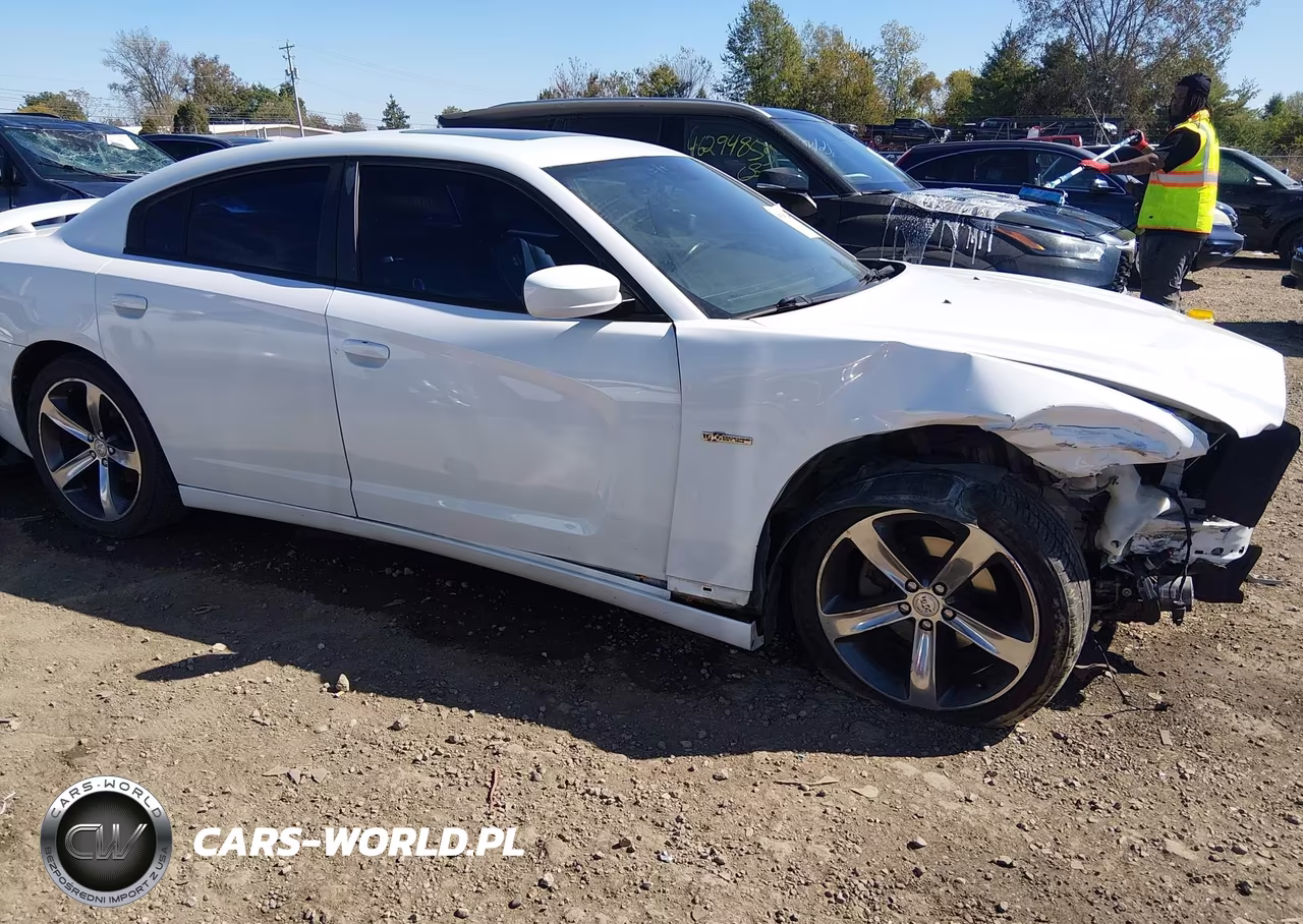 2014 Dodge Charger Sxt 100Th Anniversary VIN:2C3CDXHG6EH312214 - 14
