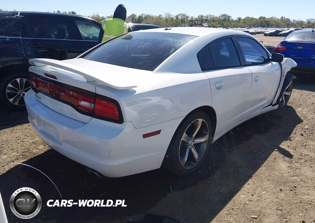 2014 Dodge Charger Sxt 100Th Anniversary VIN:2C3CDXHG6EH312214 - 4