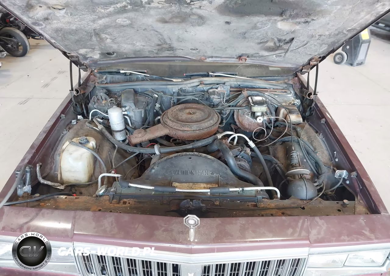 1984 Pontiac Parisienne Brougham VIN:2G2AT69H7E9721683 - 10