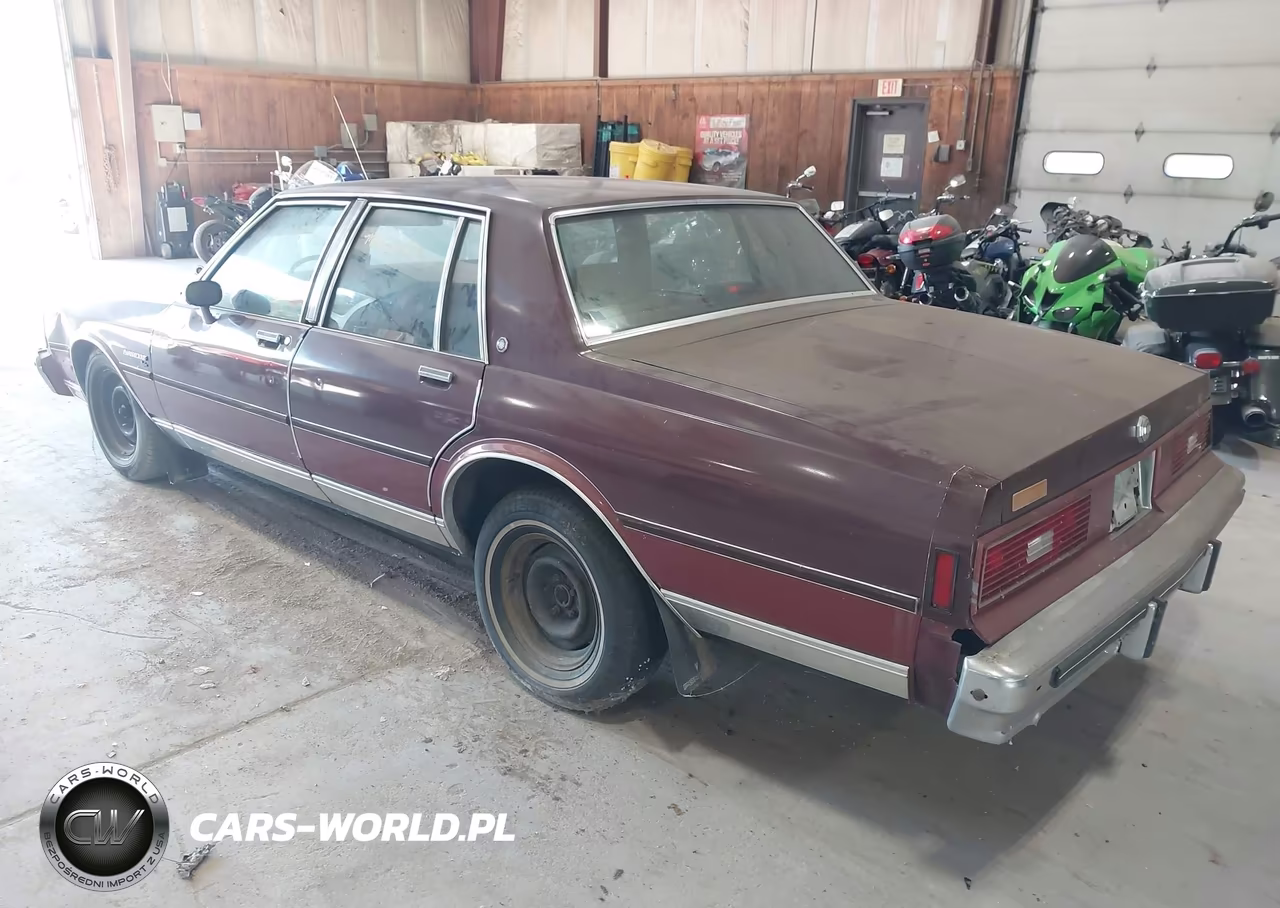 1984 Pontiac Parisienne Brougham VIN:2G2AT69H7E9721683 - 3