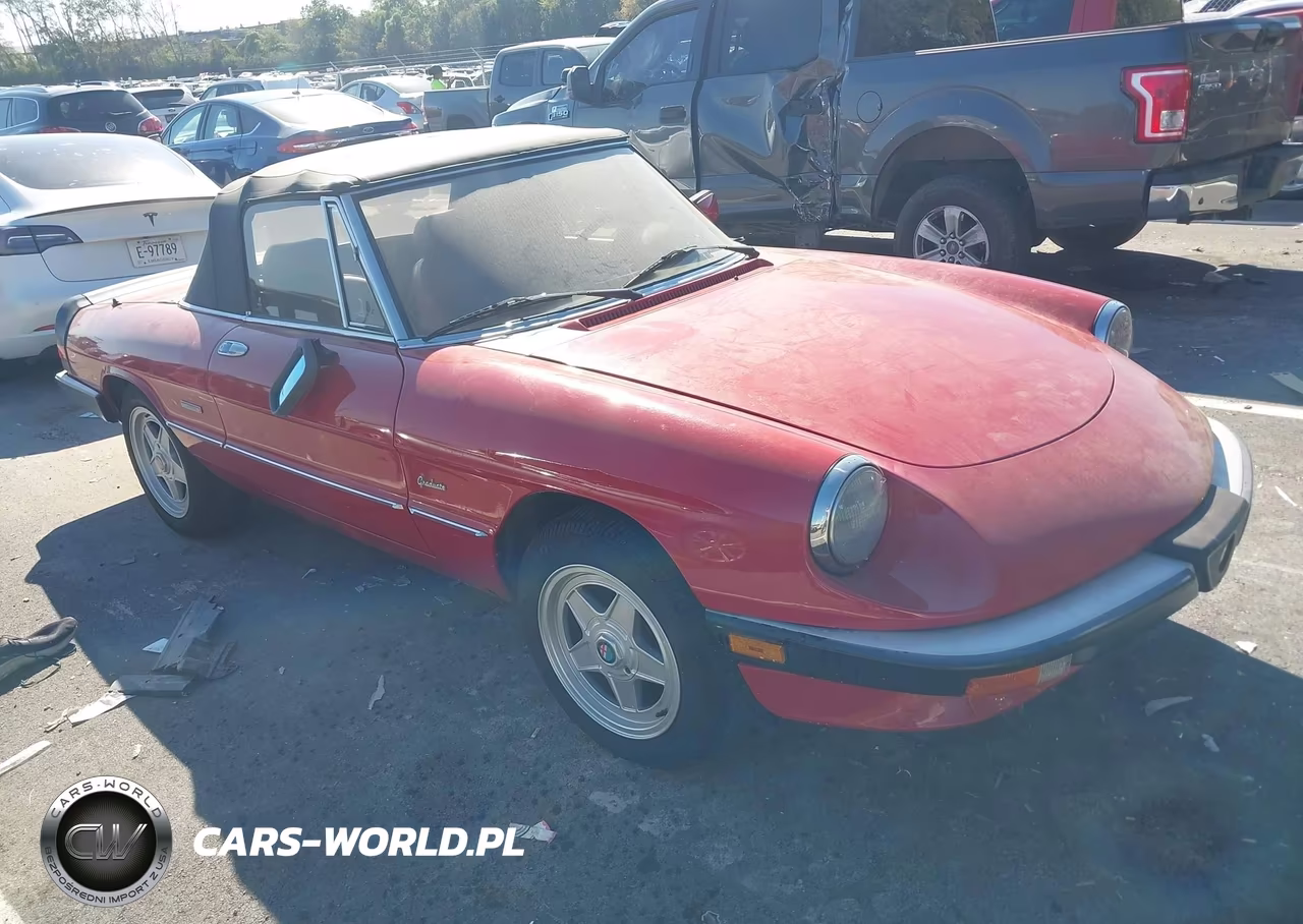 1988 Alfa Romeo Spider Graduate