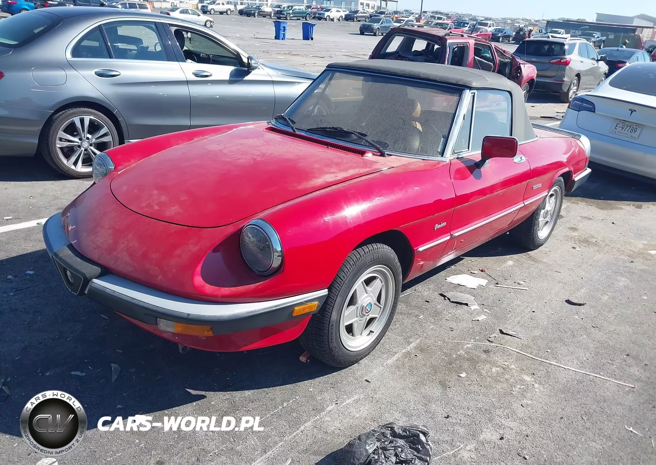 1988 Alfa Romeo Spider Graduate VIN:ZARBA5645J1062735 - 2