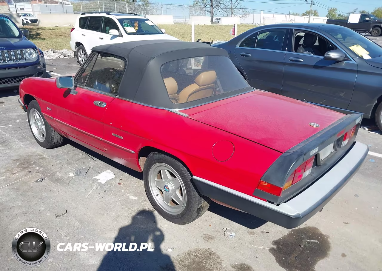 1988 Alfa Romeo Spider Graduate VIN:ZARBA5645J1062735 - 3