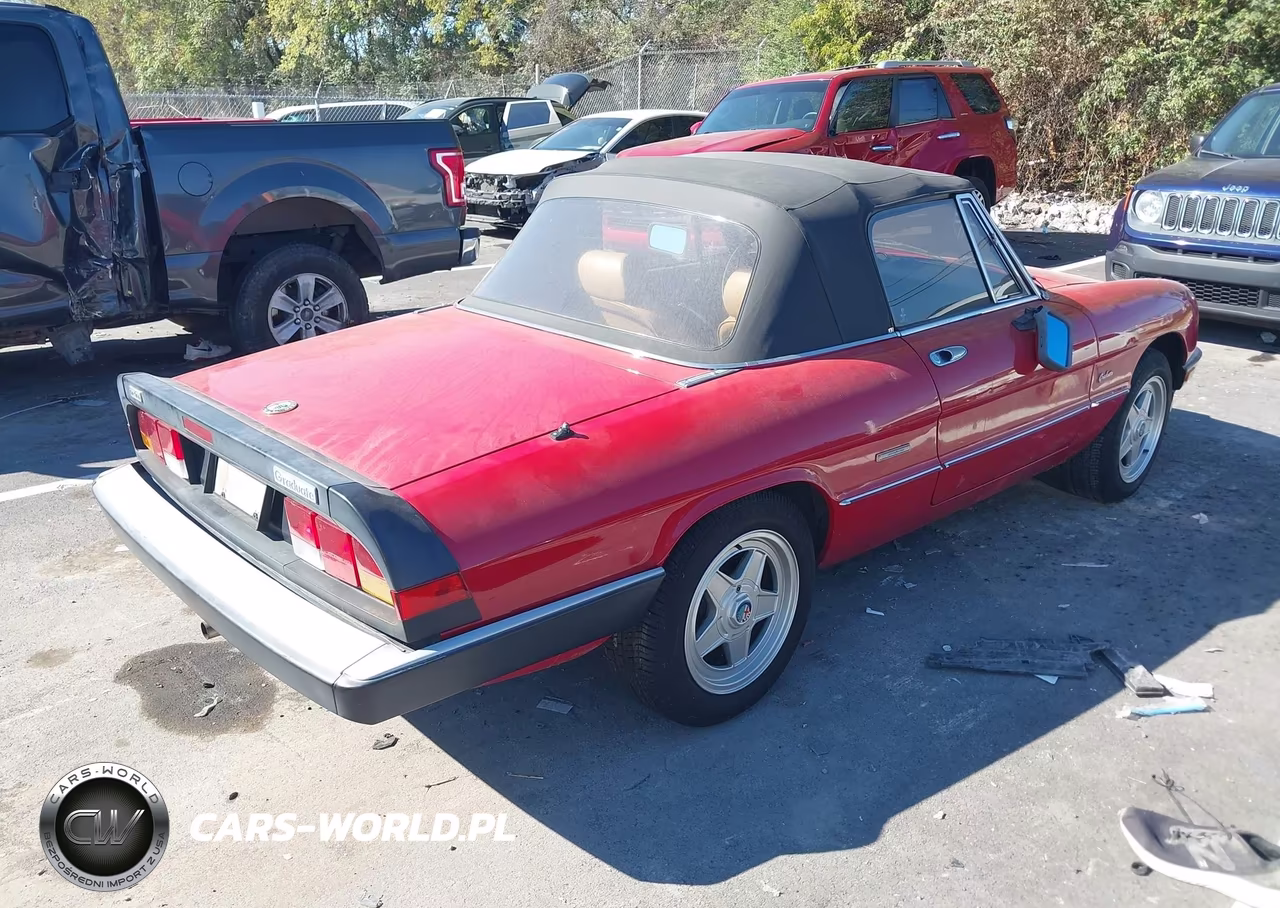 1988 Alfa Romeo Spider Graduate VIN:ZARBA5645J1062735 - 4